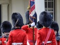 Royal guards prepare for the ceremonia Royalty Free Stock Photo