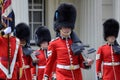Royal guards prepare for the ceremonia Royalty Free Stock Photo
