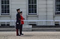 Royal guards prepare for the ceremonia Royalty Free Stock Photo