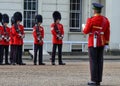 Royal guards prepare for the ceremonia Royalty Free Stock Photo