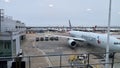 Cargo being loaded into the Plane as it gets ready for its flight to its next destination. Royalty Free Stock Photo