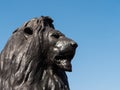 A lion sculpture by Sir Edwin Landseer at the base of Nelson`s Column. Royalty Free Stock Photo