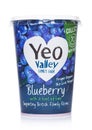 LONDON, UK - MARCH 05, 2019: YEO Valley Family Farm Proper Organic Bio Live Yogurt with blueberry on white