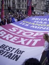 London, UK - Match 23, 2019: Best For Britain social campaigners protesting against Brexit