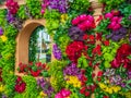 Beautifully designed gardens with plants and variegated flower compositions at RHS Chelsea Flower Show.