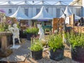 Beautifully designed gardens with plants and variegated flower compositions at RHS Chelsea Flower Show. Royalty Free Stock Photo