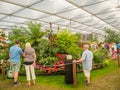 LONDON, UK - MAY 25, 2017: RHS Chelsea Flower Show 2017