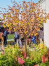 LONDON, UK - MAY 25, 2017: RHS Chelsea Flower Show 2017