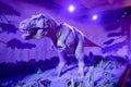 A Roaring Animatronic Model of Tyrannosaurus Rex Dinosaur at Natural History Museum of London, Great