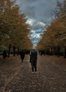 The man is enjoying the view of the tree a long time way in autumn, while many people are walking through him in the Regent& x27;s