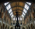Natural History Museum London interior with aches and glass roof. Diplodocus skeleton at entrance hall.