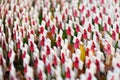 LONDON, UK - NOVEMBER 19, 2017: Poppy crosses at the Westminster Abbey Field of Remembrance, to remember military and civilians wh