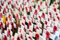 LONDON, UK - NOVEMBER 19, 2017: Poppy crosses at the Westminster Abbey Field of Remembrance, to remember military and civilians wh