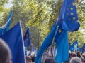 LONDON, UK - OCTOBER 19 2019: The People`s Vote march, anti-Brexit protesters wave EU flags and remain placards