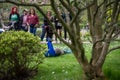 People watching a peacock in Kyoto Garden, a Japanese garden in Holland Park, London, UK Royalty Free Stock Photo