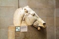 London, UK - Saturday 15th April 2015: Marble horse head in the British Museum part of the disputed Elgin Marbles Royalty Free Stock Photo