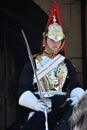 LONDON, UK - sep 27, 2019:Trooper of the Blues and Royals on horse at the horse guard parade on September 27