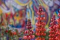 Stunning red lupins in artisan garden at Chelsea Flower Show, hosted by the Royal Horticultural Society, UK Royalty Free Stock Photo