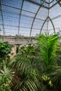 Palm garden in a greenhouse in Kew Royal Botanic Gardens Royalty Free Stock Photo