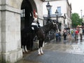 Tourists and passersby look and photograph two cavalrymen of the Blues and Royals cavalry regiment at the entrance to the Hors