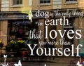 A dog is the only thing on Earth that loves you more than yourself