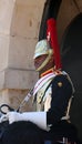 A mounted guardsman at the entrance to Horse Guards Parade Royalty Free Stock Photo