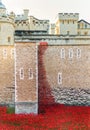 London, United Kingdom - 12 Nov 2014: Ceramic poppies installation for Remembrance Day at the Tower of London