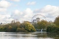 London / United Kingdom - November 10 2019: peaceful lake with trees changing color in autumn in St. James Park with ferris wheel