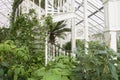 Plants and stairs in the temperate house the largest victorian glasshouse in the world