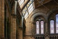 Dinosaur skeleton hanging from the ceiling in classic medieval Natural History Museum in London