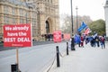 Pro EU protesters outside the Houses of Parliament