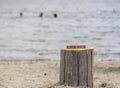 London word on wood cubes . On the tree stump by the sea Royalty Free Stock Photo