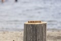 London word on wood cubes . On the tree stump by the sea Royalty Free Stock Photo