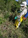 Application of herbicide on a wood stump in a pasture area of a farm