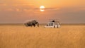 African elephant walking in savanna and tourist car stop by watching during sunset at Masai Mara National Reserve Kenya