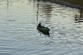 A lone angler on a boat in the middle of the river on a quiet day. Summer