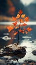 Lone autumn leaves, separated in serene isolation, capture the essence of fall