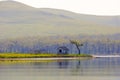 A lone bald tree grows next to a small house on a desert island. Islands of Primorsky Krai, Russia