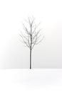 Lone bare tree standing on a snow covered hill against a white s Royalty Free Stock Photo
