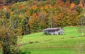 Lone Barn is Surrounded by Fall Foliage Royalty Free Stock Photo