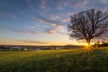 a bare tree on a field at sunset with the sun in the background Royalty Free Stock Photo