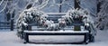 A snow covered bench with pine branches and berries Royalty Free Stock Photo