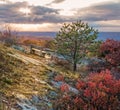 A lone bench overlooks beautiful fall foliage