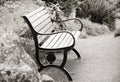 Lone bench in the park