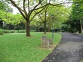 Lone bench in the park