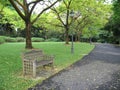 Lone bench in park