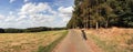 Panorama from lone bicycle parked on a rural road