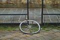 Lone Bike Tire/ Stolen Bike