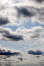 Lone bird flying in the sky Royalty Free Stock Photo