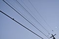 A lone bird perched along the power lines at dusk under a crescent moon